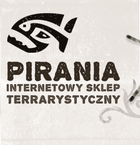 Internetowy sklep terrarystyczny - Pirania
