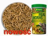 MEAL WORMS suszone larwy mącznika młynarka dla gadów  250 ml