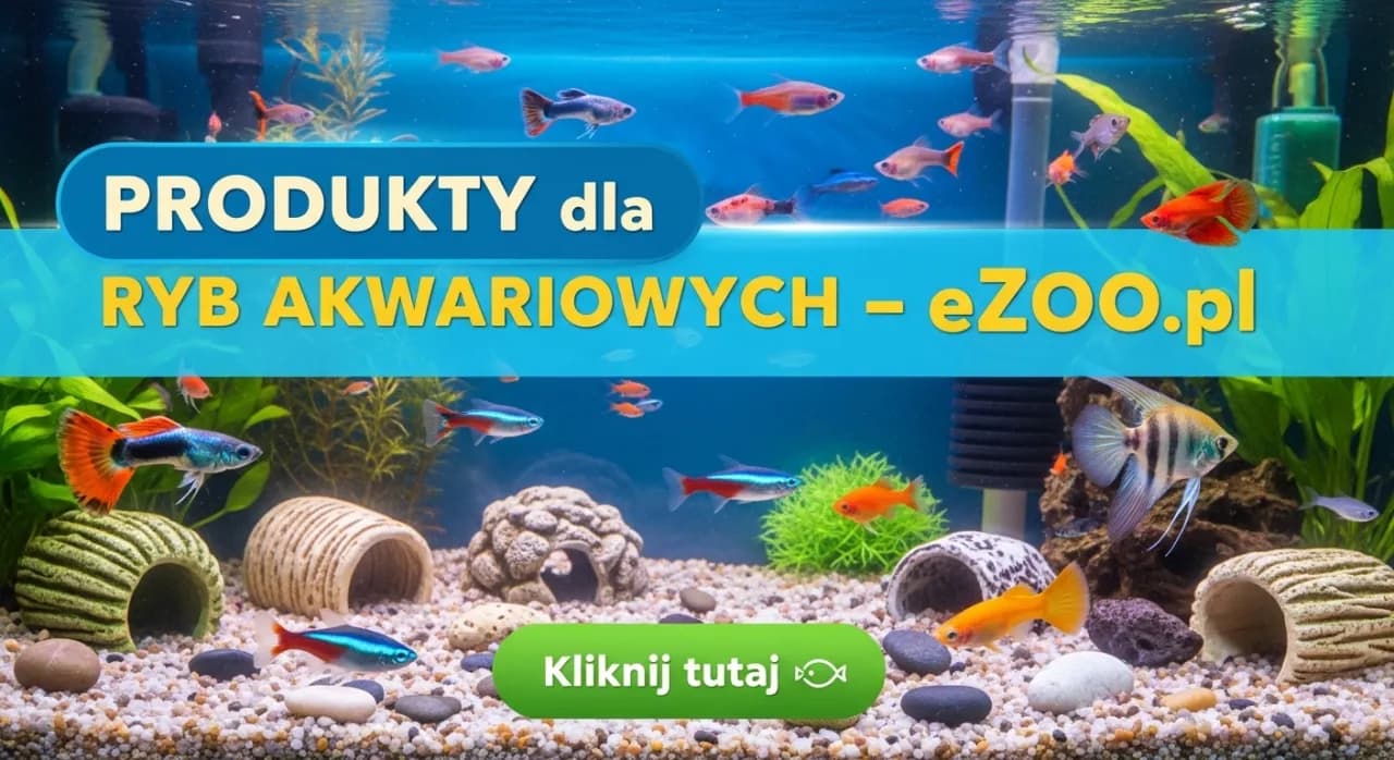 Jak zrobić kryjówki dla rybek, by zapewnić im bezpieczeństwo w akwarium Jak zrobić kryjówki dla rybek, by zapewnić im bezpieczeństwo w akwarium