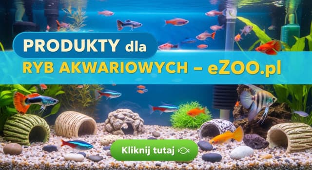 Jak zrobić kryjówki dla rybek, by zapewnić im bezpieczeństwo w akwarium Jak zrobić kryjówki dla rybek, by zapewnić im bezpieczeństwo w akwarium